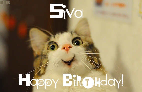 images with names Funny Birthday for Siva Pics